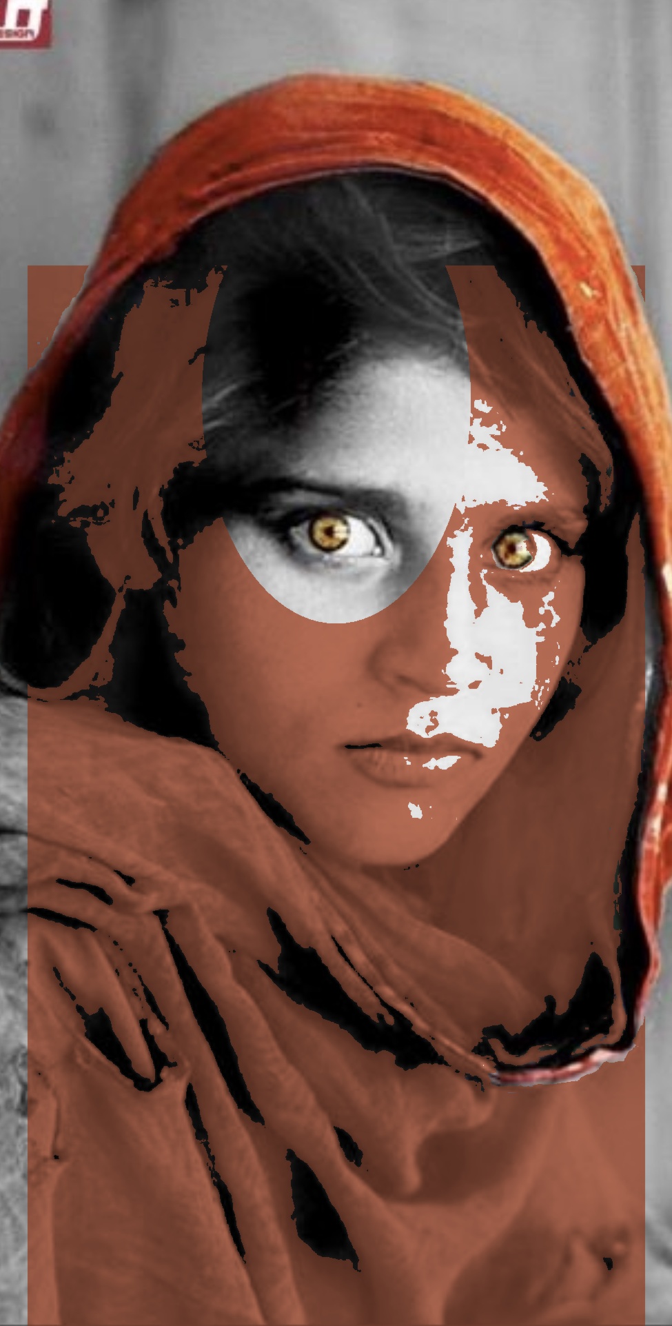 An icon of Afghan resistance ? symbol of Afghan identity and heritage
